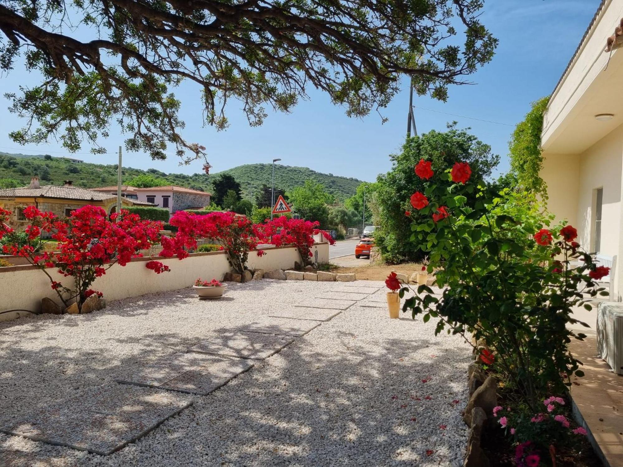 Apartmán Stazzo San Teodoro Piscina Condivisa Exteriér fotografie